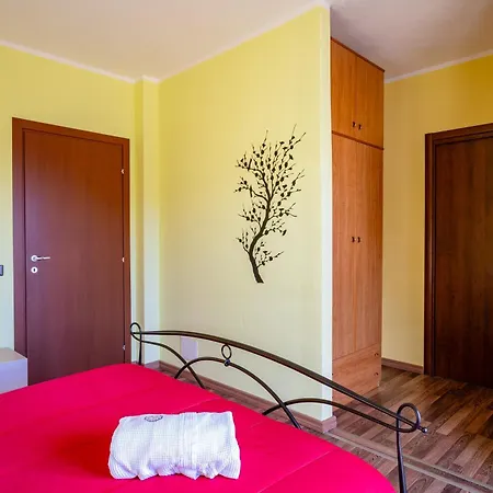 Guest house Holos 3*